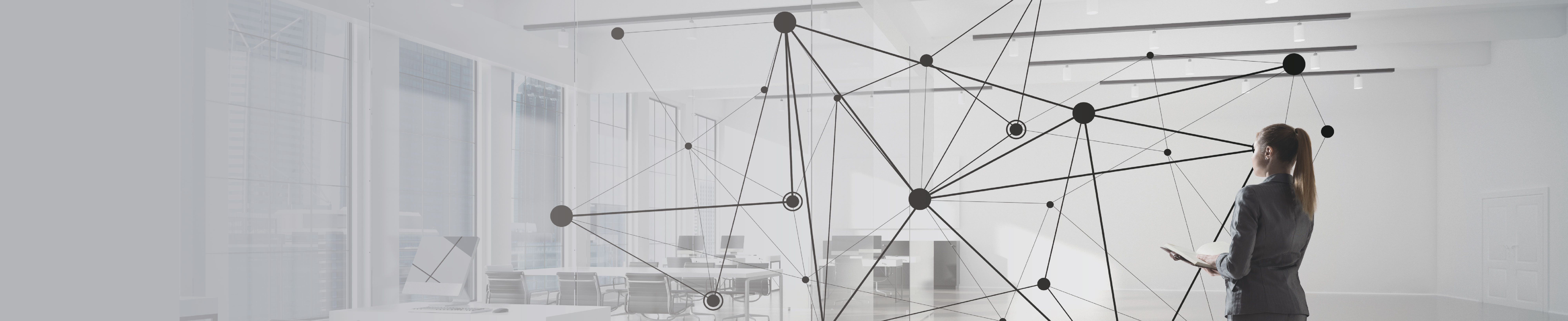 level 3c_L3_LT_Wireless_D.jpg